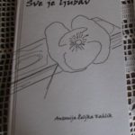 Sve je ljubav