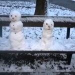 WP_20260105_16_27_05_Pro